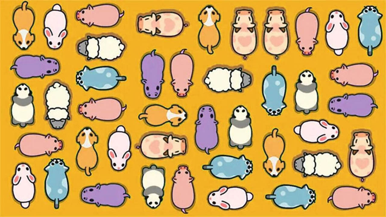 精彩截图-挪了只猪2026官方新版