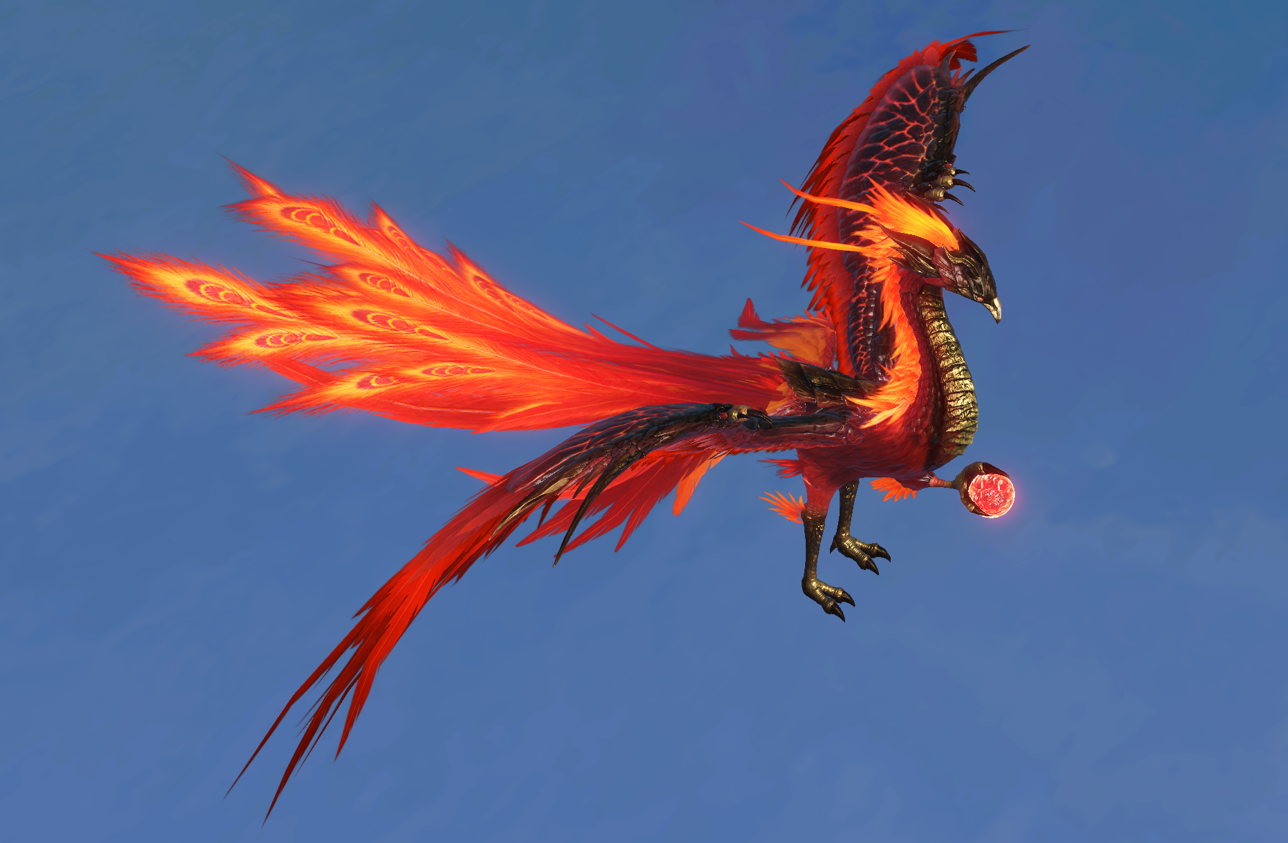 【万年金乌】赤翎雕 白翎雕头 荒鹫尾巴【千年金乌】赤翎雕 翠鹞头