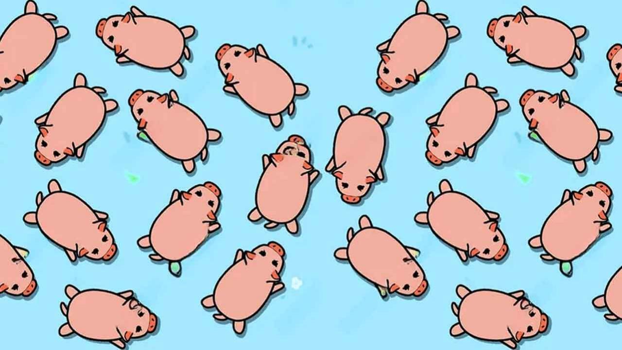 精彩截图-营救猪猪消除2026官方新版