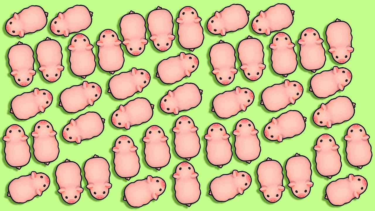 精彩截图-救猪闯关小游戏2026官方新版