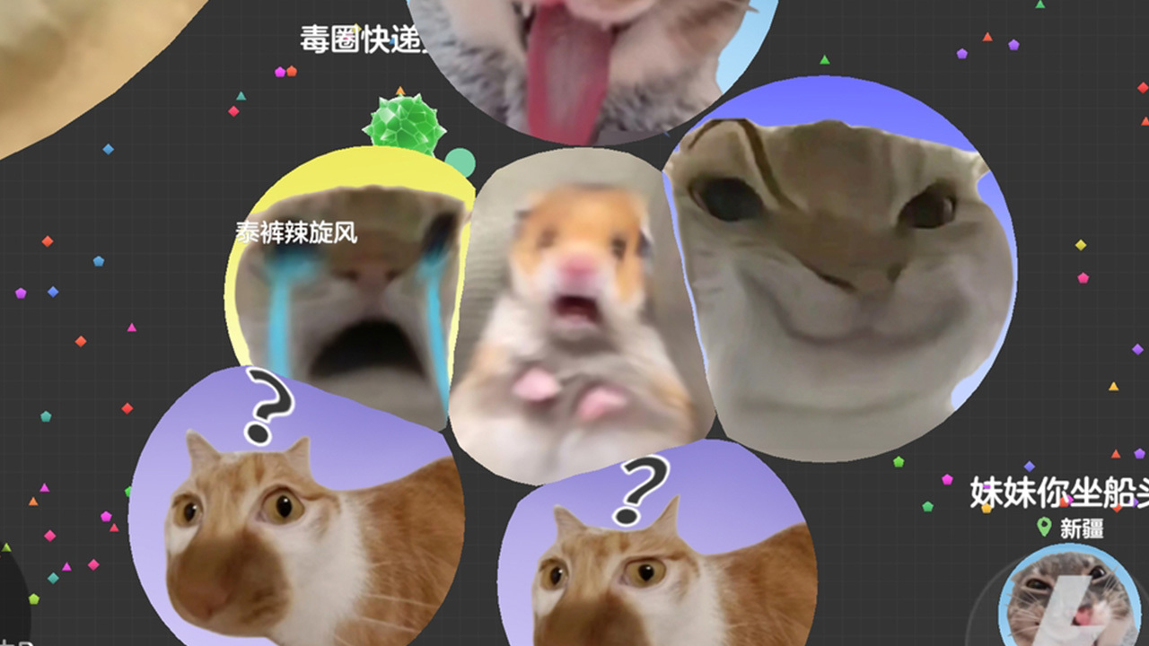 精彩截图-球球大作战2025官方新版