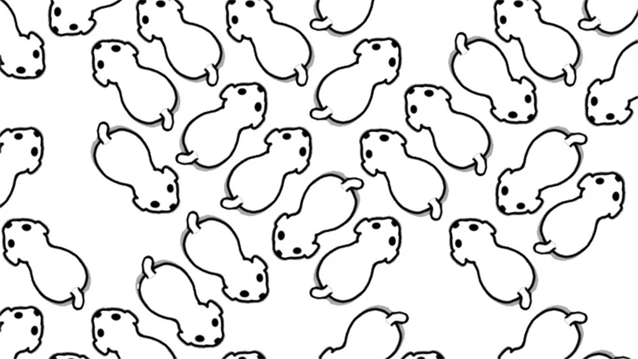 精彩截图-救救小猪猪2025官方新版