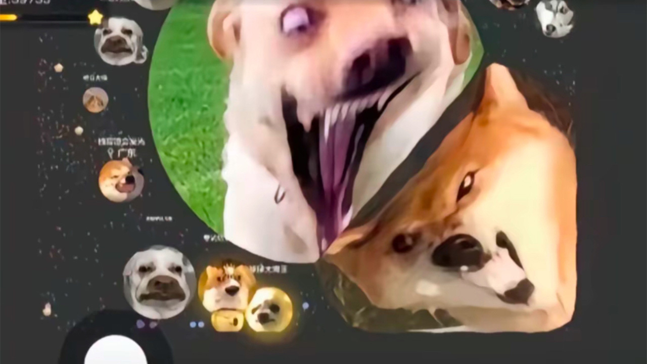 精彩截图-球球大作战2025官方新版