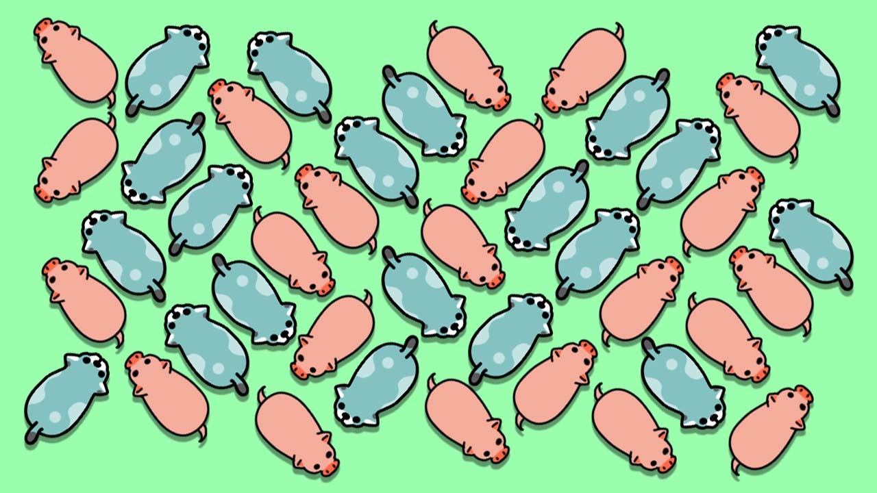 精彩截图-救猪闯关小游戏2026官方新版